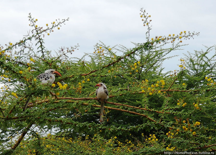 V-gostyakh-u-senora-Ferrar