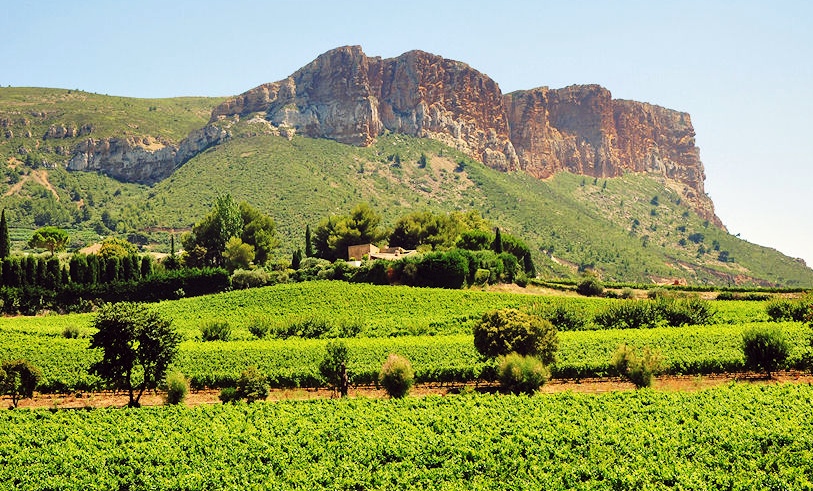 4865758892_aa668ff6c7_b