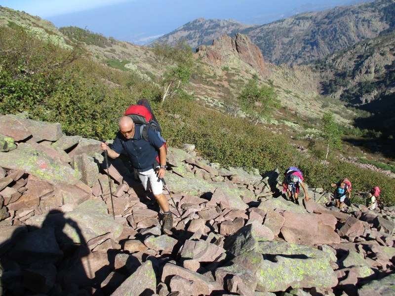 Нас догоняют "Бабушки-интеллигентки"