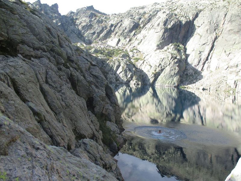 Фото Томера.