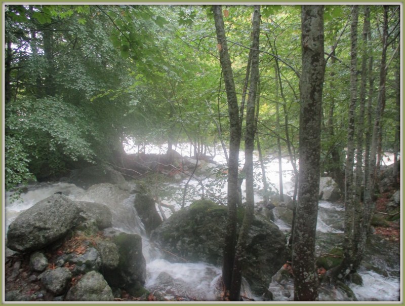 Взгляд вперёд от того места, где мы переходили бурную речку.