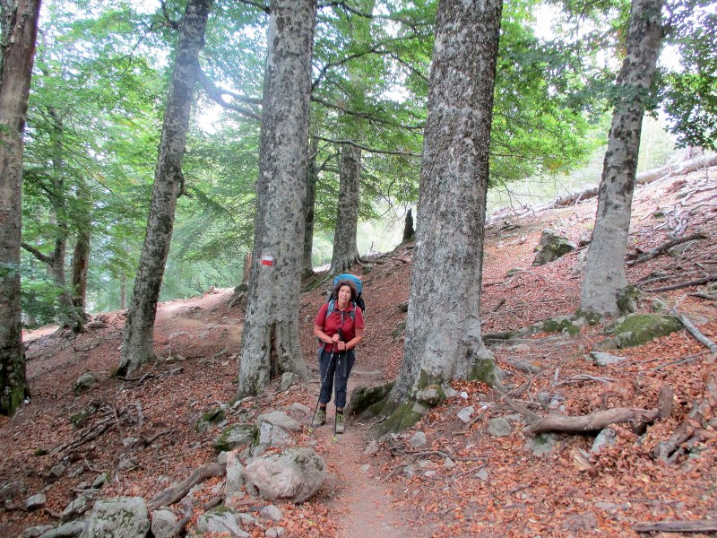 А вот и подъём. Не всё коту масленница.