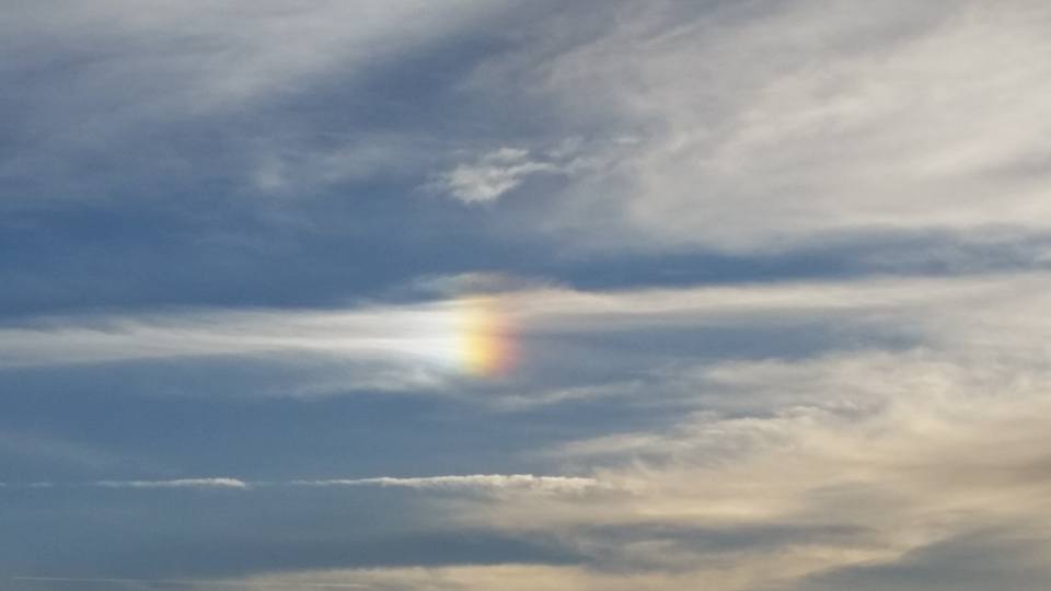 15400477_10210096047811078_291702604617859101_n