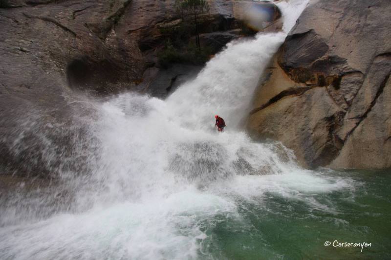 15578089_1228904770534831_406798041483547603_o