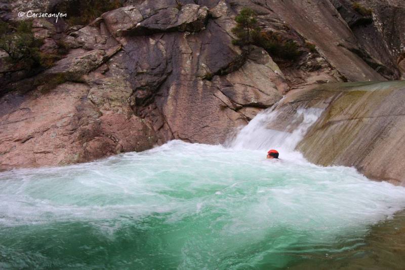 15578137_1228904597201515_7937573781835505134_o