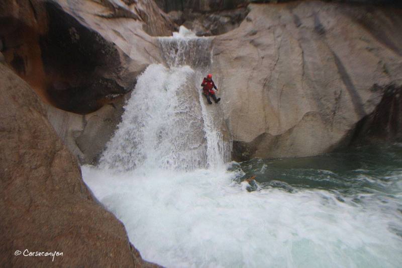 15591385_1228904907201484_9033016734529180224_o