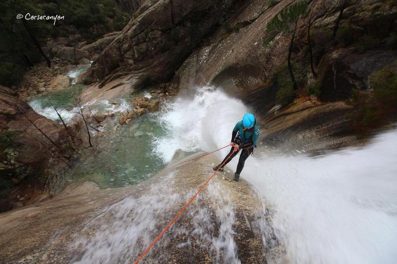 15591525_1228904933868148_8354556611060914115_o