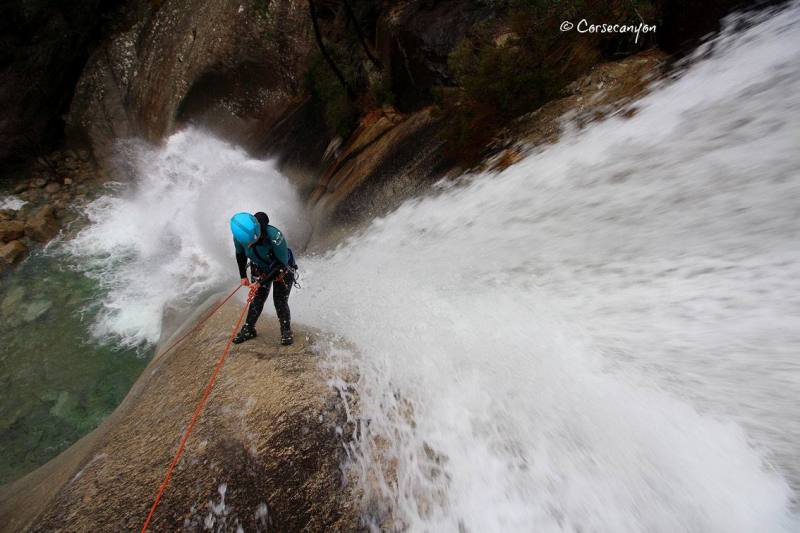 15591639_1228904693868172_2097450764301530779_o