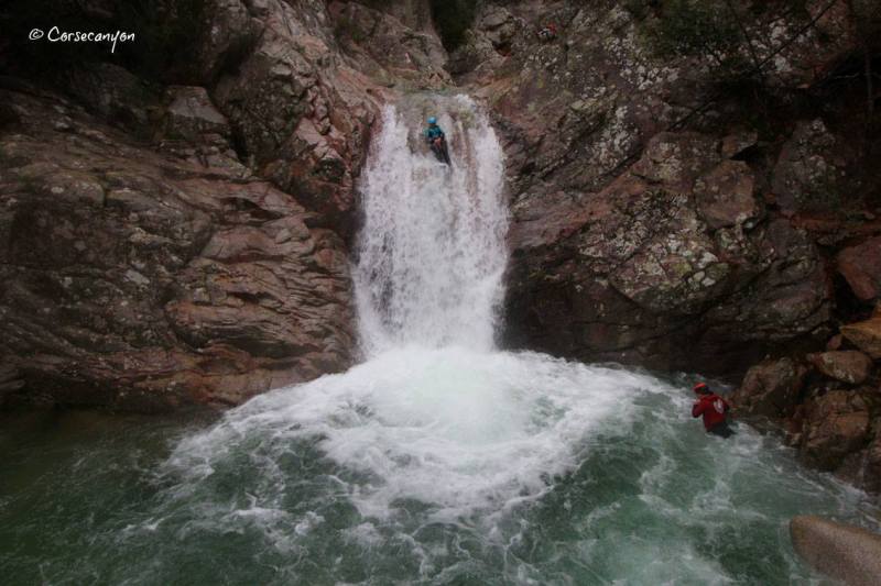 15625782_1228904463868195_1799404662692541099_o