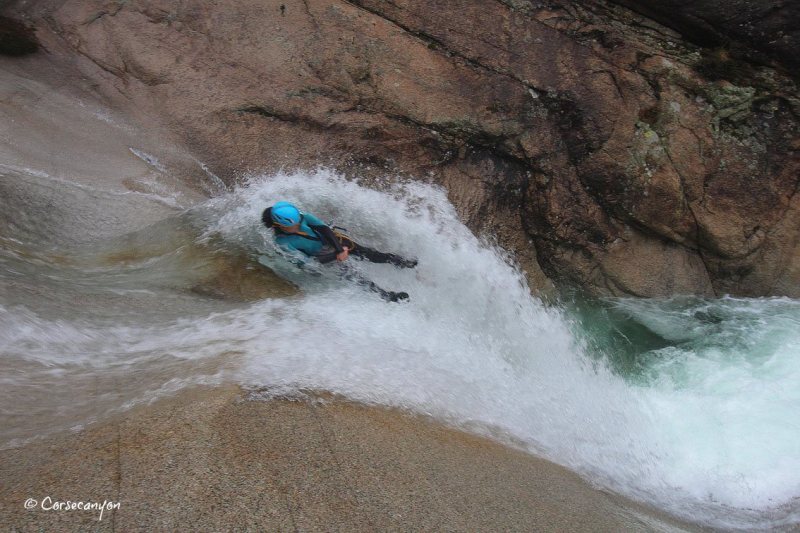 15626337_1228904800534828_4247332805630351640_o