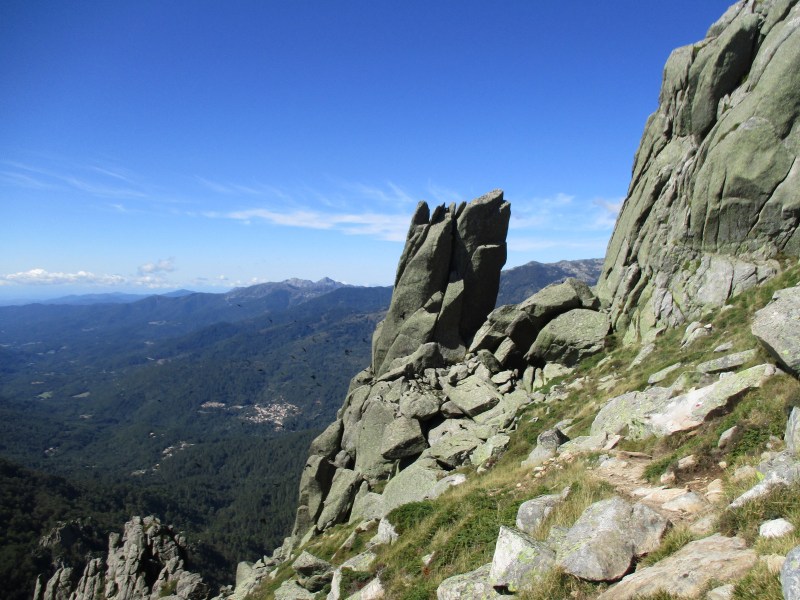 Чёрные точки на снимке - это птицы. Их было много и все разом взлетели. Красиво!