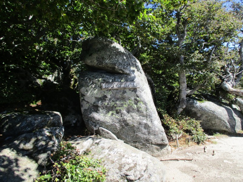 перевал Bocca Laparo (1525 м)