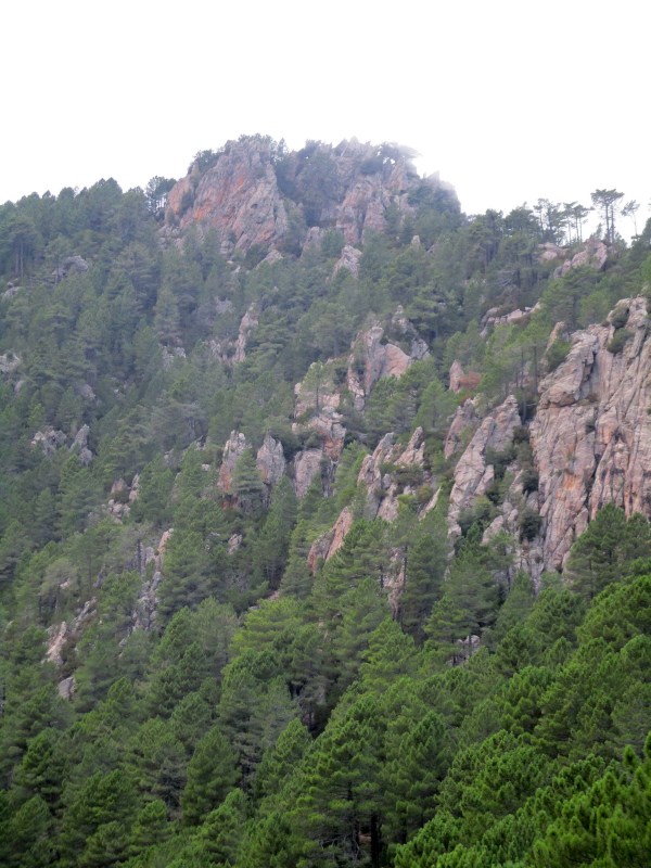 По этому отвесному и скалистому склону мы спустились.