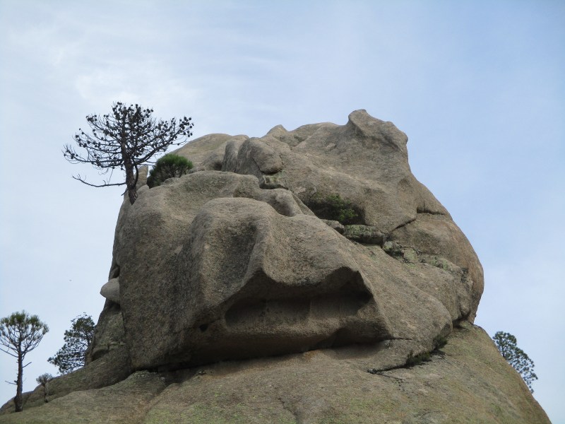 Скала-бульдог.