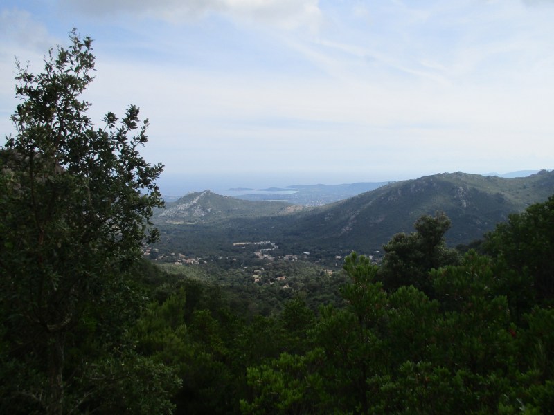 Вот она, Конка!