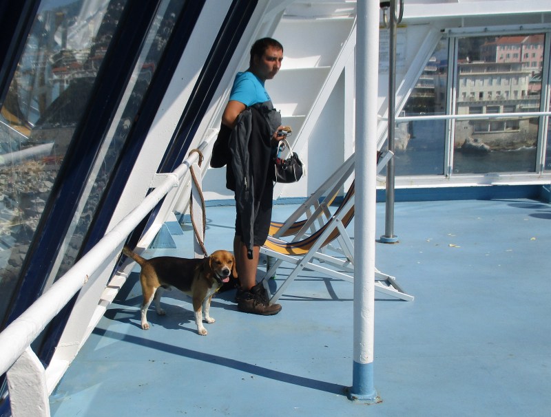 Вот такие есть на пароме пассажиры.