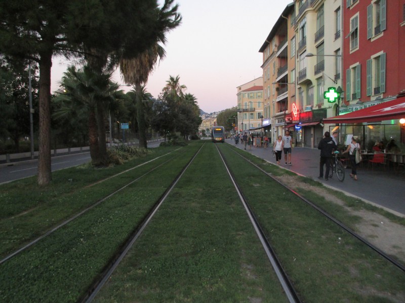 Трамвайные рельсы на траве.