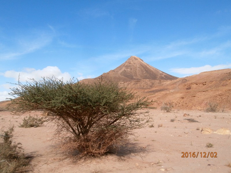 Гиват Херут,или, как мы её прозвали - Килиманджаро :-) Вид с севера.