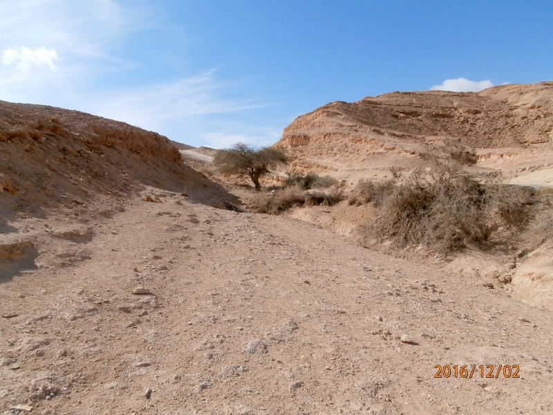 Маале Дкалим.