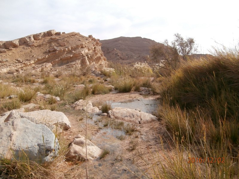 Эйн Саароним. Оазис в пустыне. Сейчас воды мало. Источник просыпается после шитфонот.