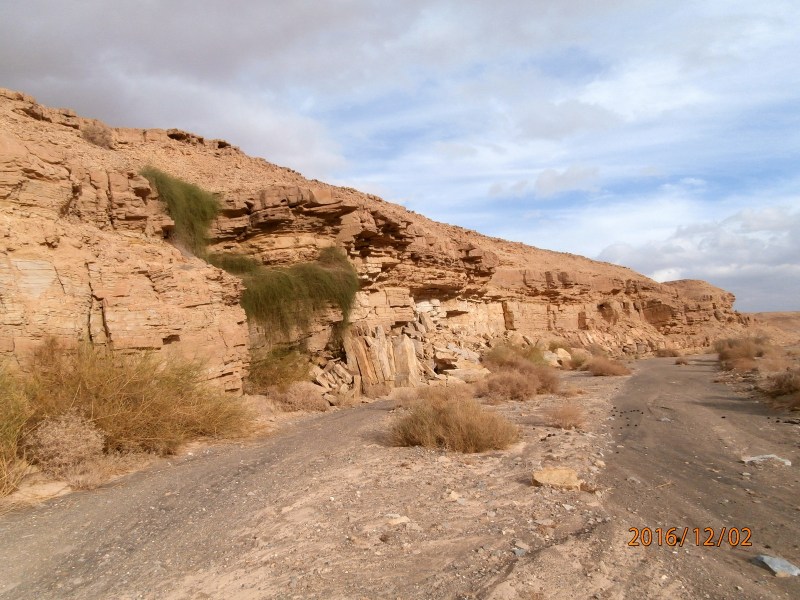 Живописное вади.