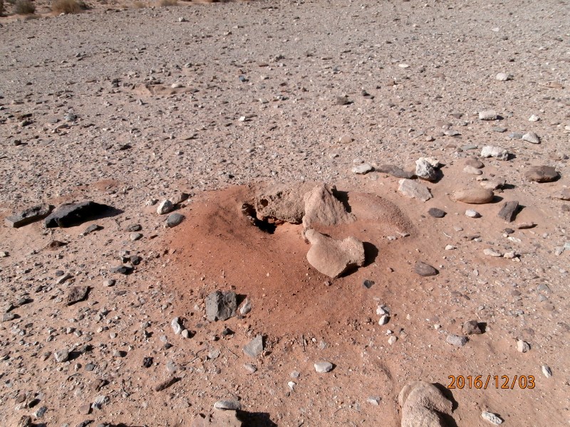 Нора, где обитает хардон цав, крупная ящерица, длиной до 75 см. По русски - шипохвост. Пока ни разу увидеть мне её не удалось.