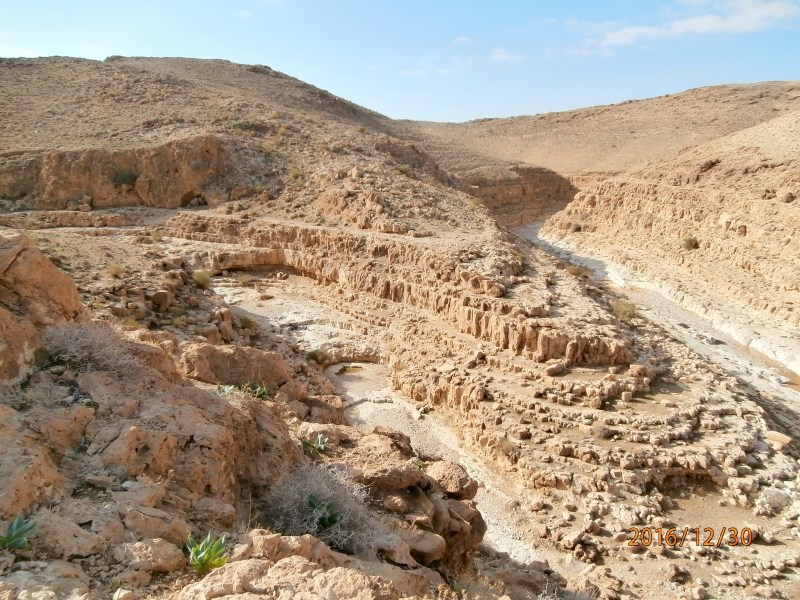 Место впадения безымянного вади в нахаль Цеелим. 