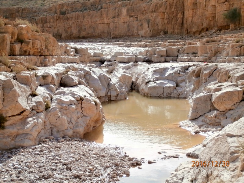 Один из гевов в той части нахаля, где я отклонилась от маршрута.