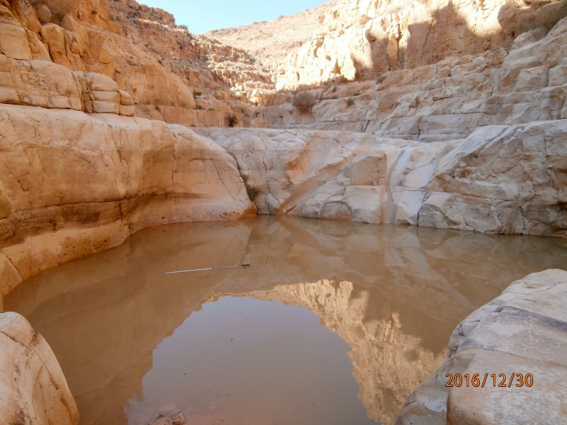 Палка упала.