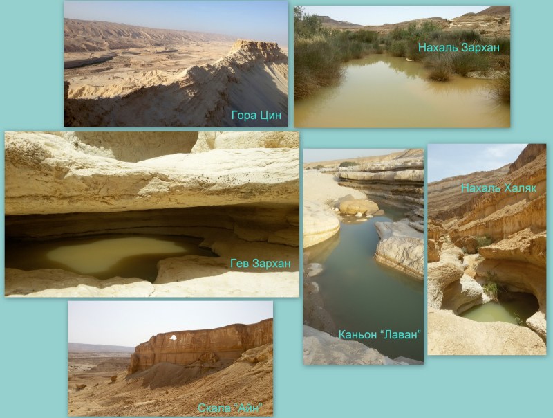 %d0%bd%d0%b5%d0%b3%d0%b5%d0%b2