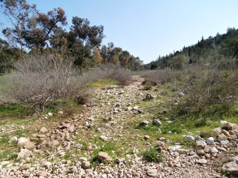 Сухой нахаль Кана.