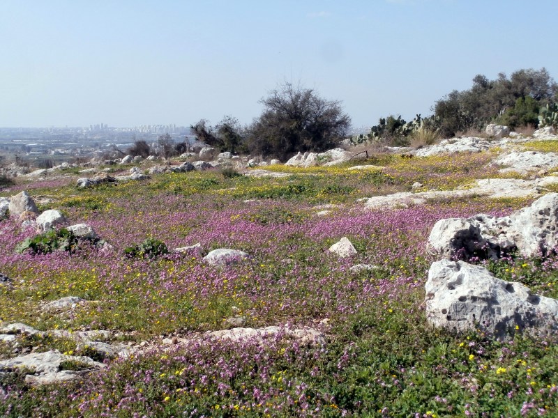 Так красиво. что хочется здесь остаться навеки.