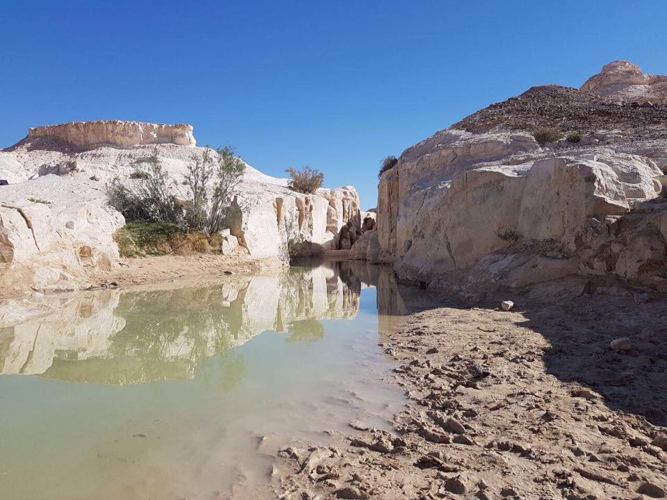 18268619_10213356922976964_1529580430930176654_n